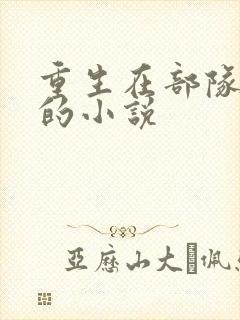 重生在部队当兵的小说