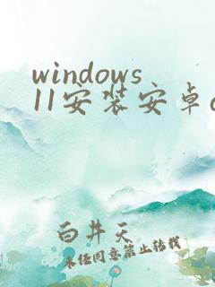 windows11安装安卓app