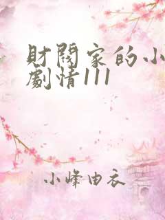 财阀家的小儿子剧情111
