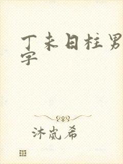 丁未日柱男命八字