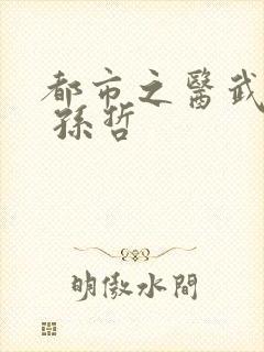 都市之医武双修 孙哲