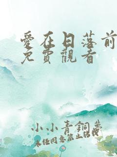 爱在日落前短剧免费观看