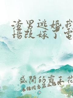 渣男逃婚,我当场改嫁了电子书阅读