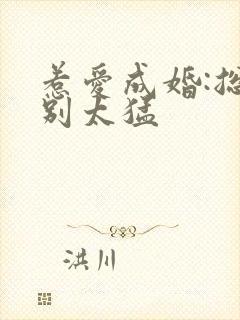 惹爱成婚:总裁别太猛