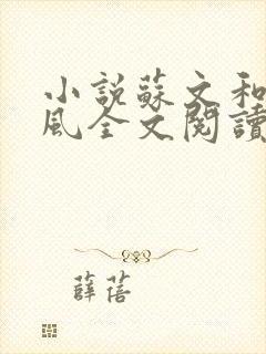 小说苏文和陆晚风全文阅读
