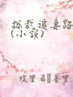 总裁追妻路漫漫(小说)