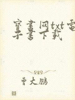 宝书网txt电子书下载