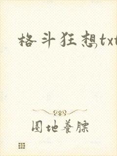 格斗狂想txt