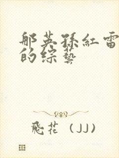 那英孙红雷参与的综艺