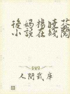 后妈杨晓芬王磊小说在线阅读