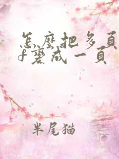 怎么把多页pdf变成一页