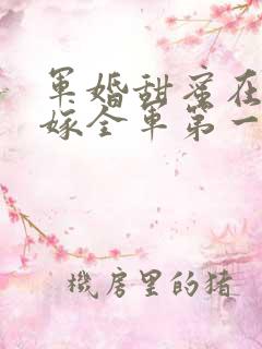 军婚甜蜜在八零嫁全军第一硬汉