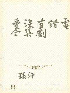 爱没有错电视剧全集剧