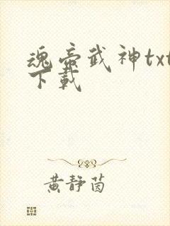 魂帝武神txt下载
