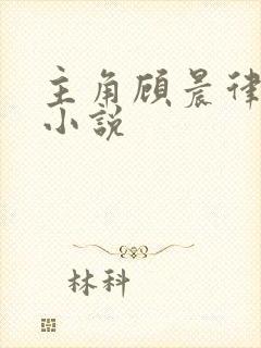 主角顾晨律师的小说