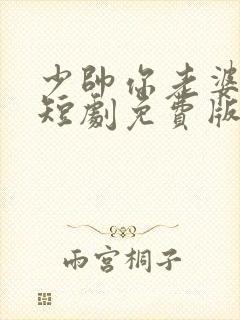 少帅你老婆又跑短剧免费版