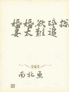 婚婚欲碎总裁前妻太难追