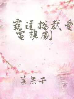 霸道总裁爱上我 电视剧