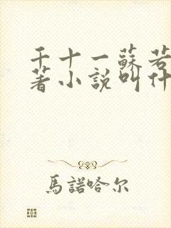 千十一苏若曦原著小说叫什么名字