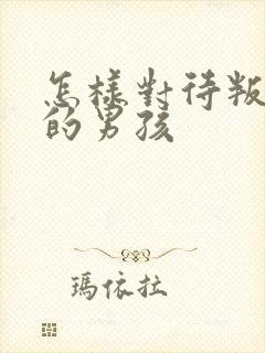 怎样对待叛逆期的男孩