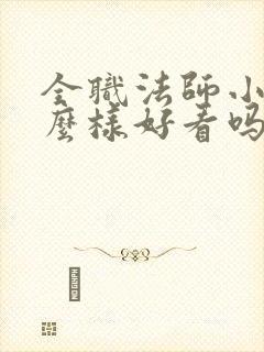 全职法师小说怎么样好看吗