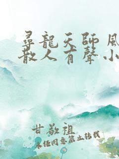 寻龙天师 风尘散人有声小说
