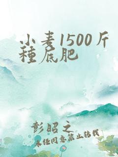 小麦1500斤种底肥
