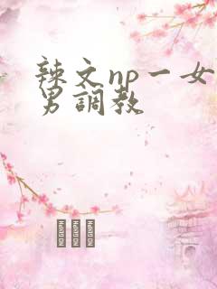 辣文np一女多男调教