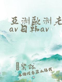亚洲欧洲老熟妇av日韩av