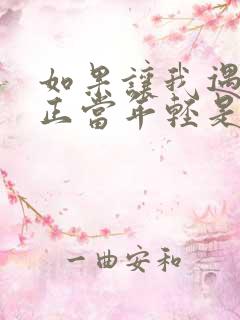 如果让我遇见你正当年轻是什么歌