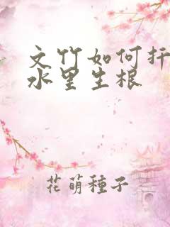 文竹如何扦插泡水里生根