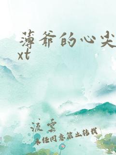 薄爷的心尖宠txt