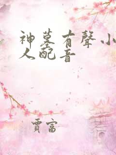 神墓有声小说多人配音