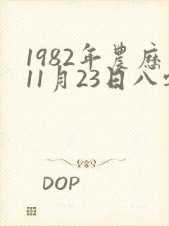 1982年农历11月23日八字运程