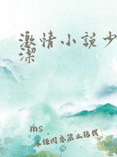 激情小说少妇白洁