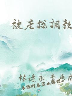 被老总调教