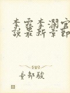 李霖李澜官场小说最新章节