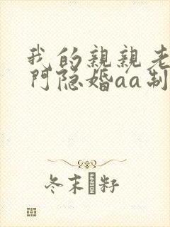 我的亲亲老婆豪门隐婚aa制全文免费阅读