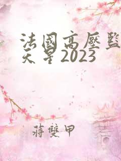 法国高压监狱满天星2023