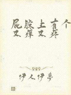 屁股上有个疙瘩又痒又疼