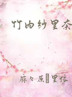 竹内纱里奈日韩