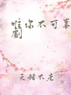 唯你不可辜负短剧