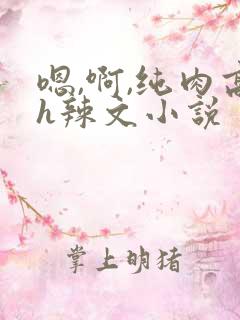 嗯,啊,纯肉高h辣文小说