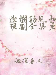 灿烂的风和海电视剧全集免费观看