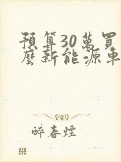 预算30万买什么新能源车比较好