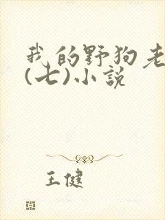我的野狗老公们(七)小说