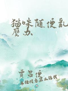 猫咪随便乱尿怎么办