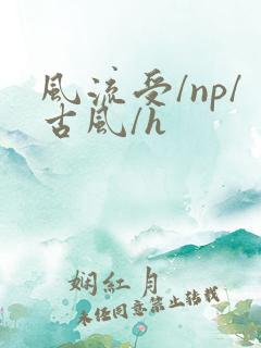 风流受/np/古风/h