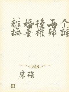 离婚后两个小孩抚养权归谁
