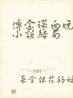 傅念琛向晚沈星小说结局